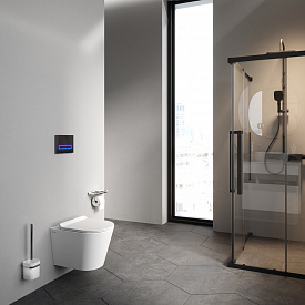 Унитаз подвесной Sunny C85C1701SC Flashclean с сиденьем микролифт